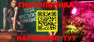 крисы Сланцы
