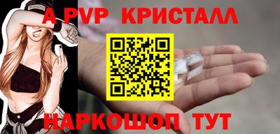 крисы Сланцы