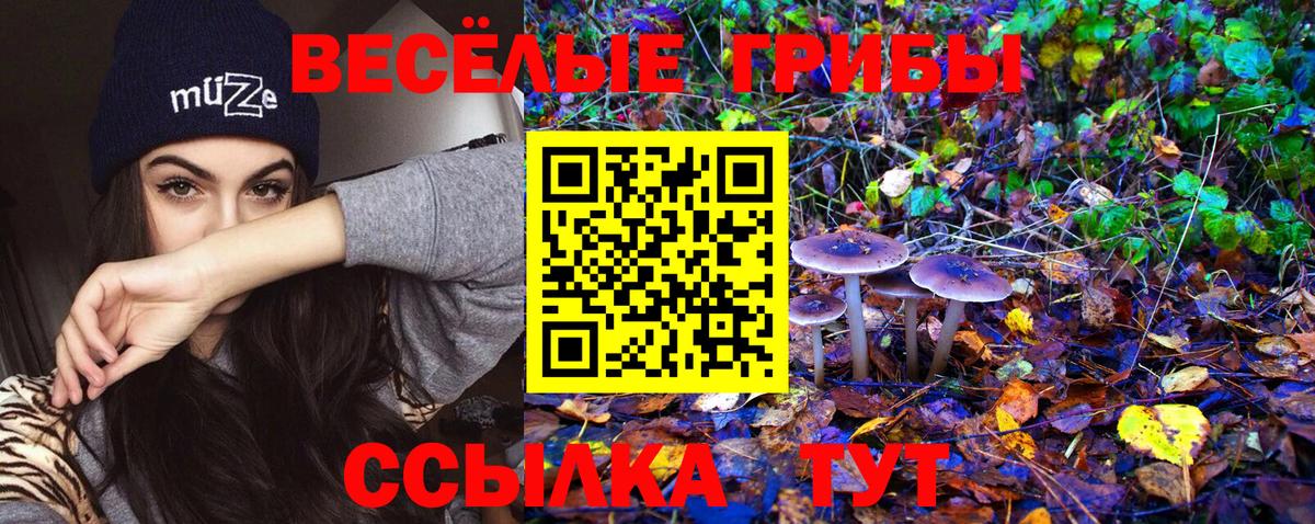Галлюциногенные грибы GOLDEN TEACHER Радужный